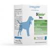 Dynamopet DìSenior Small 20 bustine 2,5 gr