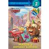 Melissa Lagonegro Mater's Birthday Surprise (Disney/Pixar Cars) (Tascabile)