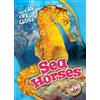 Christina Leaf Sea Horses (Copertina rigida) Ocean Life Up Close