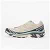 Salomon Sneakers Salomon XT-6 Tapioca/ Spellbound/ Lichen
