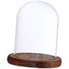 PETSOLA Cupola in Vetro Trasparente Campana con Legno Ornamento Vari Tipi Disponibili, Brown B
