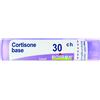 BOIRON Srl Cortisone 30ch gr 4g - BOIRON - 800373298