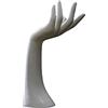 Perfeclan Espositore a Mano per Gioielli Porta Anelli Manichino Femminile Bracciale a Mano Guanti Espositore per Anelli Espositore per Gioielli Organizzatore di
