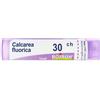 Boiron Calcarea Fluorica 30Ch Contenitore Multidose Granuli - BOIRON - 047514702