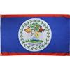 AZ FLAG Bandiera Belize 150x90 cm Beliziana Poliestere Leggero 4 Occhielli | Uso interno bandiera decorativa doppie cuciture e bordi rinforzati con occhielli metallici