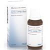 Heel Arnica per Infiammazioni e Dolori Muscolari 30 Ml