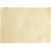 REX SADOCH Blister 10 diplomi A3 120gr neutro avorio Sadoch PERGA3-BIA