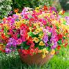 florisso Fasci di margherite artificiali per la decorazione della casa, margherite finte con foglie verdi, per esterni, interni, giardino, piante finte per portico, 12 pezzi (viola, rosa, giallo,