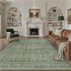PureCozy Tappeto Soggiorno 200x300cm, Lavabile Vintage Verde per Camera da Letto, a Pelo Corto, Antiscivolo, Morbido, Stile Boho Retro Grande per Cucina, Sala da Pranzo, Camera da Letto, Soggiorno