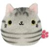 Sanei Peluche gatto americano San-ei a pelo corto Neko Dango Japan