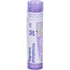 BOIRON Magnesia Phosphorica 30CH Granuli - BOIRON - 046936682