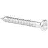 Alberts 331610 Chiodo di ancoraggio, zincato, 4 x 40 mm, Set da 250