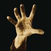 System of a Down System of a Down (Vinyl LP) 12" Album