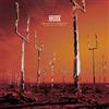 Muse Origin of Symmetry: XX Aniversary Remixx (Vinyl LP)