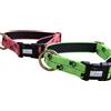 Axaeco Collare Sleddog Reflex Click