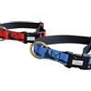 Axaeco Collare Sleddog Click