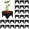 Generico Anello Crescita Piante - 10 Pollici Bordura Giardino 24 Pezzi | Disco Irrigazione Riutilizzabile - Supporto Coltura Robusto In Polipropilene Resistente Alle Intemperie Con Funzione Risparmio Idrico Pe