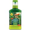 Crescita Miracolosa NUTRIMENTO Piante GRASSE, 7.5x3.5x18 cm