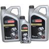 Ford Olio Motore Ford Motorcraft A5 5W30 11L WSS-M2C913-D 15F1CF + 15F1CE