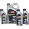 Ford Olio Motore Ford Motorcraft A5 5W30 WSS-M2C913-D 8 Litri 15F1CF + 15F1CE
