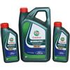Castrol Magnatec D 0W30 Ford WSS-M2C950-A Olio Motore 7 L 15F60C