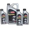 Ford Motorcraft Olio Motore 8 L 5W30 WSS-M2C913-D 15F1CF + 15F1CE