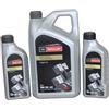 Ford Motorcraft Olio Motore 7 L 7L 5W30 WSS-M2C913-D 15F1CF + 15F1CE