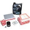 Kit Ispezione Ford Fiesta Inkl. 5 Litri Olio Motore 5W20 Wolf inkl. Filtri