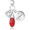 FGT Ciondolo Zodiaco a forma di Zodiako con pietre di nascita scintillanti, adatto a bracciali Pandora Charm Moments per donne, regalo di compleanno, Misura unica, Rame, Nessuna pietra preziosa