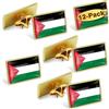 Omnisexual Confezione da 12/24/50/100 spille da bavero con bandiera della Palestina, in metallo, 25x22mm, Ferro