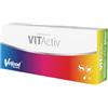 Vetfood VitActiv 60 capsule