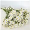 Generico Fiori di Margherita Artificiali, 24 Pezzi Fiori Finti Realistici Bianchi con Centro Giallo, Resistenti ai Raggi UV per Decorazione Casa Giardino Matrimonio Vaso Centrotavola Interno Esterno