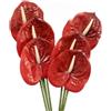 OUKEYI Fiori artificiali di giglio di Anthurium da 61 cm, 6 pezzi, in seta, per bouquet da sposa fai da te, centrotavola, composizioni nuziali, feste, decorazioni per la casa