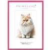 PrimeLuxe Cornice portafoto su misura, sottile 17 x 23 cm, rosa lucido, dimensioni a scelta, con vetro acrilico antiriflesso, cornice per poster, puzzle, collage fotografico