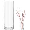 QWORK® Vaso di Vetro Moderno 30x10 cm - Vaso Rotondo Trasparente per Decorazioni Soggiorno