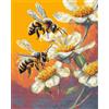RKFLGEW 14CT Quadri Punto Croce Fiori Colorati E Api Ricamo Fai Da Te Per Adulti Kit Principianti Con Modelli Arte Ricamos 40x50cm