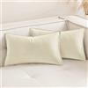 MIULEE 2 Pezzi Federe in Velluto Copricuscini Morbido Decorative Federe Copricuscini per Divano Soggiorno Camera da Letto 30 X 50 cm Beige