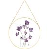 REDHUGO Cornice in vetro per fiori pressati, realizzata a mano, cornice galleggiante in ottone da appendere alla parete, immagine rotonda con doppio vetro, cornice per fiori secchi, decorazione da