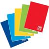 Blasetti PACK 5 One Color - Quaderno formato A4, Maxi quaderni con Jolly Page, Confezione da 5 pezzi, Carta da 80gr, Copertina monocromatica (0B)