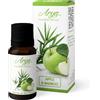 Arya HD Olio Essenziale Apple e Bamboo 10 ml
