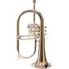 ONLIEST OVERSEAS Flugel Horn 3 valvole in ottone strumento con tono caldo, valvole lisce, per musicisti e studenti.