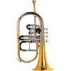 ONLIEST OVERSEAS Flugel Horn 4 valvole in ottone strumento con tono caldo, valvole lisce, per musicisti e studenti.
