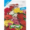 L'ORTOLANO Sementi da fiore di qualità in bustina per uso amatoriale (ACHILLEA MILLEFOGLIE IN MISCUGLIO)