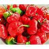 Generic 50 pezzi di Aji Cachucha