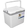 Buachois Borsa frigo portatile coibentata, scatola frigo da 6 litri, borsa frigo da campeggio, borsa termica rigida per pranzo coibentata con ritenzione di ghiaccio e maniglie resistenti (Bianco)