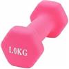 QLoztyse Manubrio Esagonale Donna Peso Ghisa Rivestito Plastica Accessorio Allenamento Antiscivolo Sicuro Palestra Domestica Adatto per Donne Principianti Palestra, Verde Lime Opaco, 2.5kg