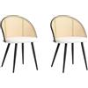 JZGORC Set di 2 Sedie da Pranzo,Schienale in Rattan Intrecciato,Seduta in Peluche Granuloso, Struttura in Metallo Nero,Possono Essere Utilizzate come Sedie da Cucina,Sedie da Soggiorno-3#