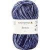 Schachenmayr Bravo 9801211, Gomitolo di Filo per Lavorazione a Maglia, Filato per Uncinetto, 100% poliacrilico, Navy Denim, 15 x 7 x 7 cm