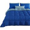 PETTI Artigiani Italiani - Trapunta Matrimoniale Invernale, Piumone Matrimoniale, Tinta Unita Double Face Blu Celeste 100% Made in Italy