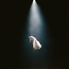 Ariana Grande eternal sunshine deluxe: brighter days ahead (CD) Album